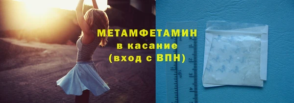 крисы Новозыбков