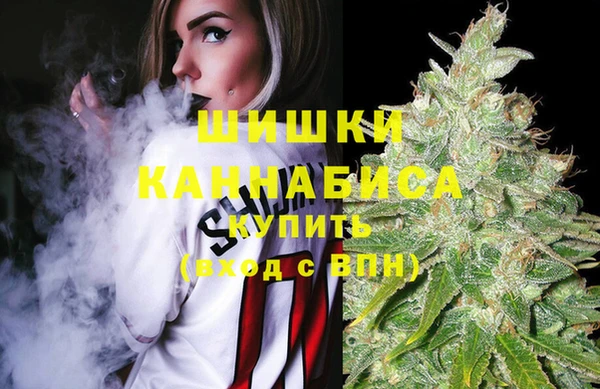 экстази Няндома
