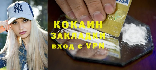 крисы Новозыбков